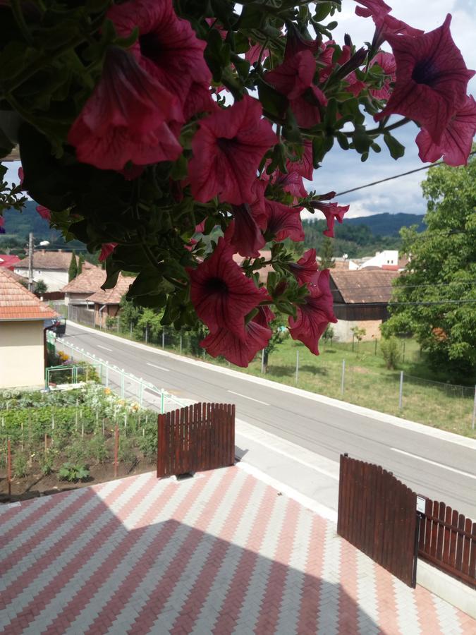 Casa Infinity Hotell Sovata Eksteriør bilde
